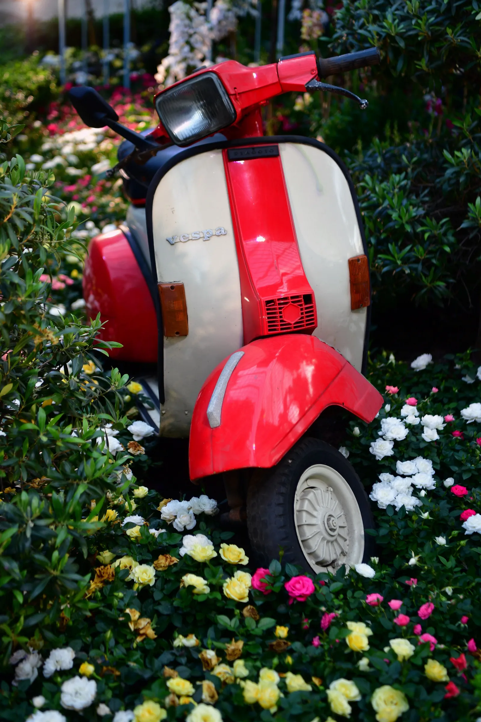 Vespa Special 90