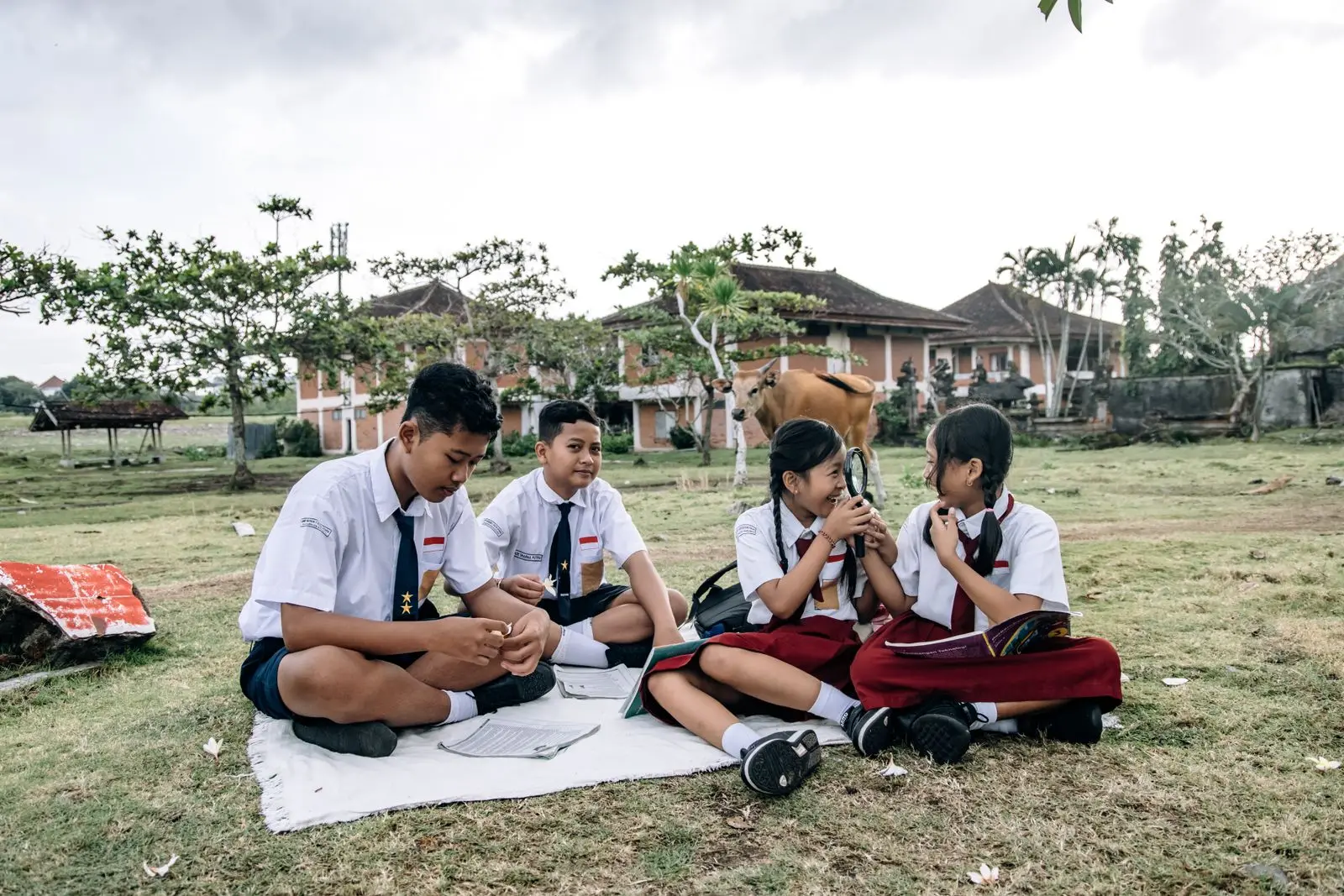 Group work out in the school yard